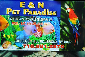 e & n pet paradise logo