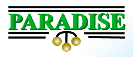 paradise pawn logo